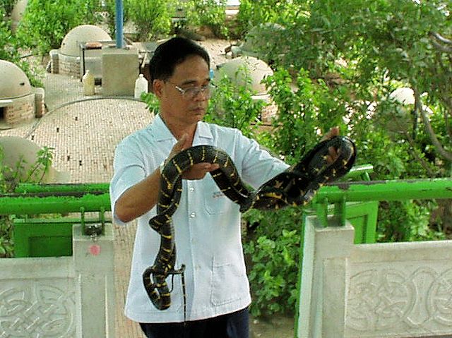毒蛇研究所で蛇の紹介